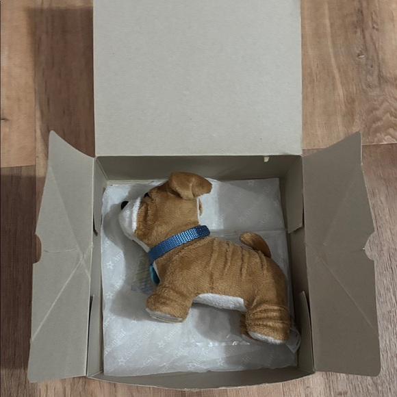 American Girl Talent Show Set Complete With Pet - Picture 11 of 12